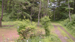 長野県菅平高原 ゆたか山荘 坂上 2026/06/23 12:00