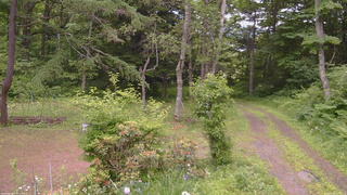 長野県菅平高原 ゆたか山荘 坂上 2026/06/23 12:30