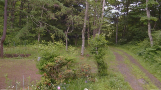 長野県菅平高原 ゆたか山荘 坂上 2026/06/23 12:45