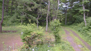 長野県菅平高原 ゆたか山荘 坂上 2026/06/23 13:15