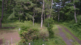 長野県菅平高原 ゆたか山荘 坂上 2026/06/23 15:00