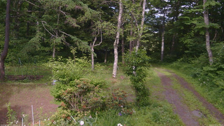 長野県菅平高原 ゆたか山荘 坂上 2026/06/23 15:30