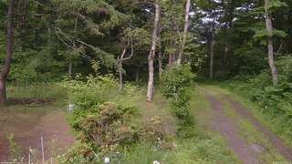 長野県菅平高原 ゆたか山荘 坂上 2026/06/23 16:00