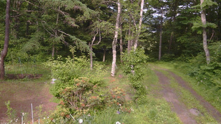長野県菅平高原 ゆたか山荘 坂上 2026/06/23 16:15