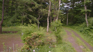 長野県菅平高原 ゆたか山荘 坂上 2026/06/23 17:00