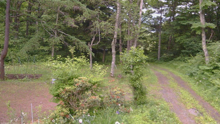 長野県菅平高原 ゆたか山荘 坂上 2026/06/23 17:45