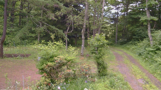 長野県菅平高原 ゆたか山荘 坂上 2026/06/23 18:15