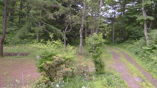 長野県菅平高原 ゆたか山荘 坂上 2026/06/23 18:30