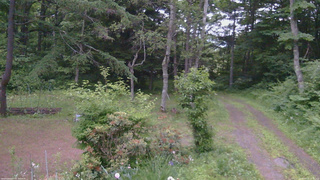 長野県菅平高原 ゆたか山荘 坂上 2026/06/23 19:00