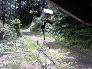 長野県菅平高原 ゆたか山荘 南側 2026/06/24 09:45