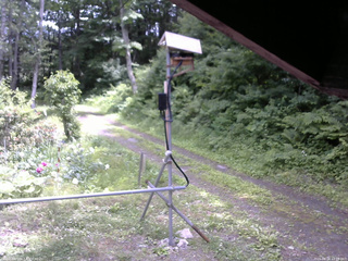長野県菅平高原 ゆたか山荘 南側 2026/06/24 12:15
