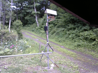 長野県菅平高原 ゆたか山荘 南側 2026/06/24 15:15