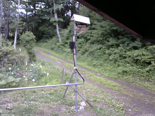 長野県菅平高原 ゆたか山荘 南側 2026/06/24 16:15