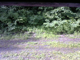 長野県菅平高原 ゆたか山荘 東側(坂下) 2026/06/24 07:30