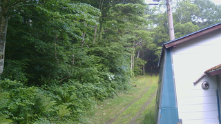 長野県菅平高原 ゆたか山荘 ゆたか山荘 2026/06/24 05:00