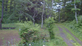 長野県菅平高原 ゆたか山荘 坂上 2026/06/24 05:00