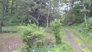 長野県菅平高原 ゆたか山荘 坂上 2026/06/24 05:15