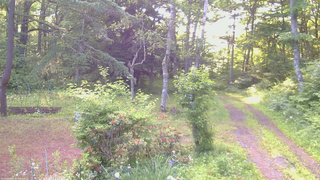 長野県菅平高原 ゆたか山荘 坂上 2026/06/24 05:30