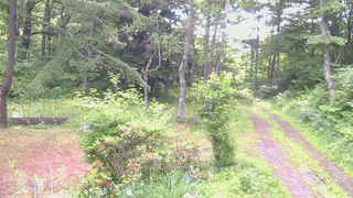 長野県菅平高原 ゆたか山荘 坂上 2026/06/24 06:00