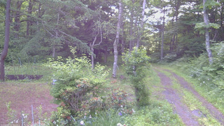 長野県菅平高原 ゆたか山荘 坂上 2026/06/24 06:30