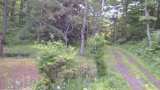 長野県菅平高原 ゆたか山荘 坂上 2026/06/24 06:45