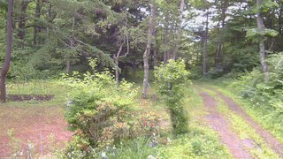 長野県菅平高原 ゆたか山荘 坂上 2026/06/24 07:00