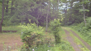長野県菅平高原 ゆたか山荘 坂上 2026/06/24 07:45