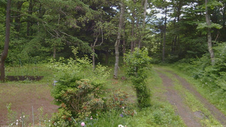 長野県菅平高原 ゆたか山荘 坂上 2026/06/24 08:00