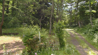 長野県菅平高原 ゆたか山荘 坂上 2026/06/24 08:15