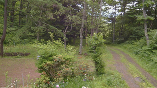 長野県菅平高原 ゆたか山荘 坂上 2026/06/24 08:30