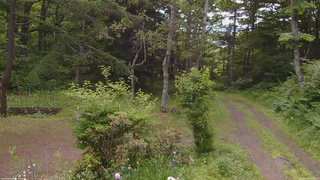 長野県菅平高原 ゆたか山荘 坂上 2026/06/24 08:45