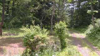 長野県菅平高原 ゆたか山荘 坂上 2026/06/24 09:45