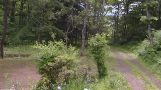 長野県菅平高原 ゆたか山荘 坂上 2026/06/24 10:00