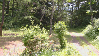長野県菅平高原 ゆたか山荘 坂上 2026/06/24 10:15