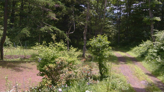 長野県菅平高原 ゆたか山荘 坂上 2026/06/24 11:15