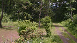 長野県菅平高原 ゆたか山荘 坂上 2026/06/24 12:15
