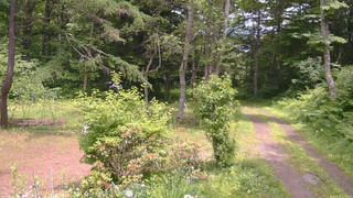 長野県菅平高原 ゆたか山荘 坂上 2026/06/24 12:30
