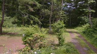 長野県菅平高原 ゆたか山荘 坂上 2026/06/24 12:45