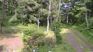 長野県菅平高原 ゆたか山荘 坂上 2026/06/24 15:00