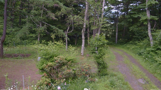 長野県菅平高原 ゆたか山荘 坂上 2026/06/24 15:15