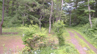長野県菅平高原 ゆたか山荘 坂上 2026/06/24 16:30