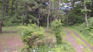 長野県菅平高原 ゆたか山荘 坂上 2026/06/24 17:00