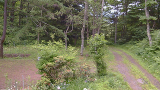 長野県菅平高原 ゆたか山荘 坂上 2026/06/24 17:30