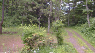 長野県菅平高原 ゆたか山荘 坂上 2026/06/24 18:30