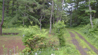 長野県菅平高原 ゆたか山荘 坂上 2026/06/25 05:15