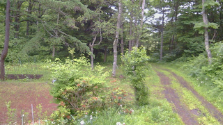 長野県菅平高原 ゆたか山荘 坂上 2026/06/25 05:30