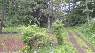 長野県菅平高原 ゆたか山荘 坂上 2026/06/25 06:00