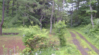 長野県菅平高原 ゆたか山荘 坂上 2026/06/25 06:15
