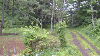 長野県菅平高原 ゆたか山荘 坂上 2026/06/25 06:30