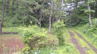 長野県菅平高原 ゆたか山荘 坂上 2026/06/25 06:45